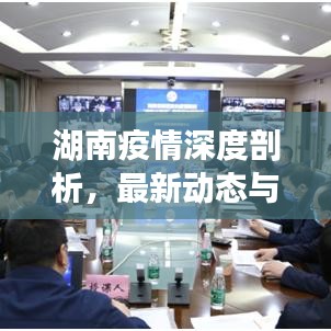 湖南疫情深度剖析，最新动态与应对策略