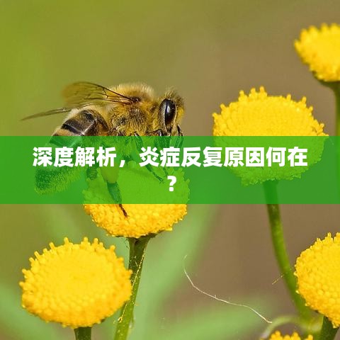 仪表堂堂