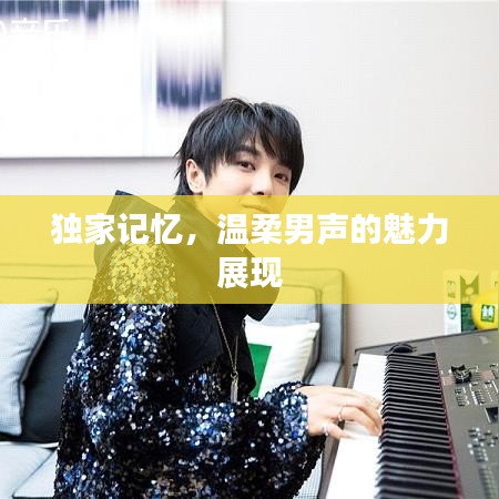 独家记忆，温柔男声的魅力展现