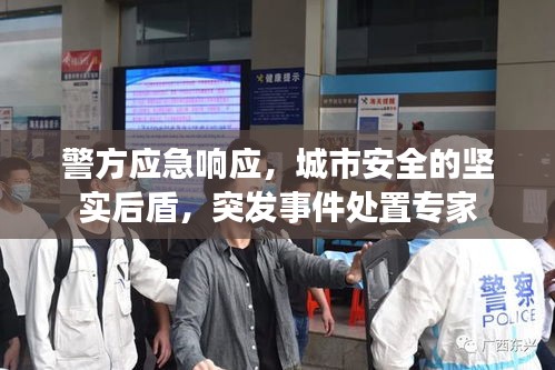 警方应急响应，城市安全的坚实后盾，突发事件处置专家