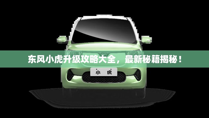 东风小虎升级攻略大全，最新秘籍揭秘！