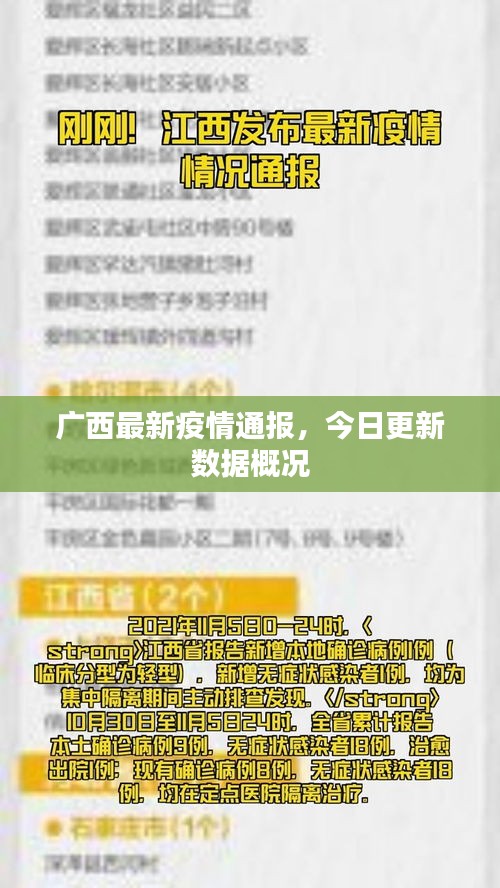 广西最新疫情通报，今日更新数据概况