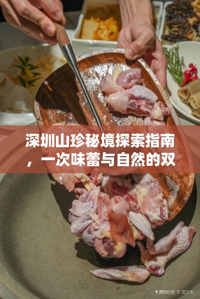深圳山珍秘境探索指南，一次味蕾与自然的双重盛宴