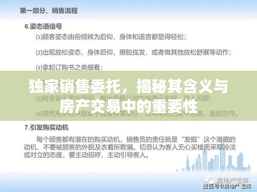 独家销售委托，揭秘其含义与房产交易中的重要性