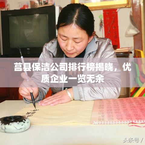 莒县保洁公司排行榜揭晓，优质企业一览无余
