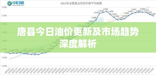 唐县今日油价更新及市场趋势深度解析