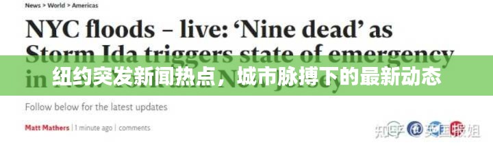 纽约突发新闻热点，城市脉搏下的最新动态