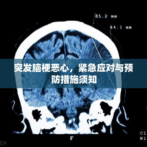 飞檐走壁