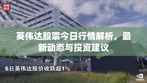英伟达股票今日行情解析，最新动态与投资建议
