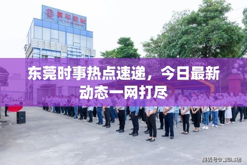 东莞时事热点速递，今日最新动态一网打尽