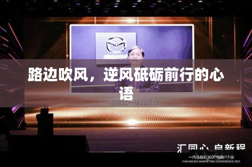 张王李赵