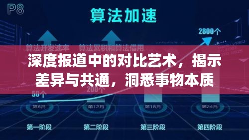 深度报道中的对比艺术，揭示差异与共通，洞悉事物本质