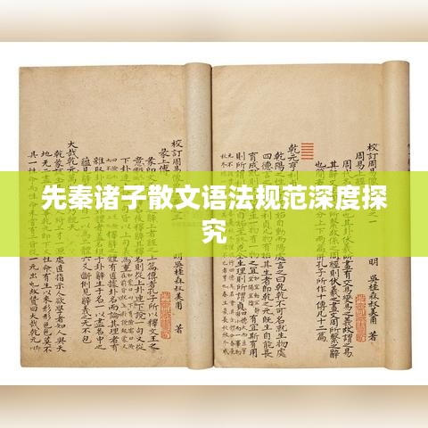 先秦诸子散文语法规范深度探究