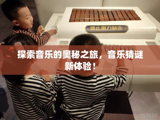探索音乐的奥秘之旅，音乐猜谜新体验！