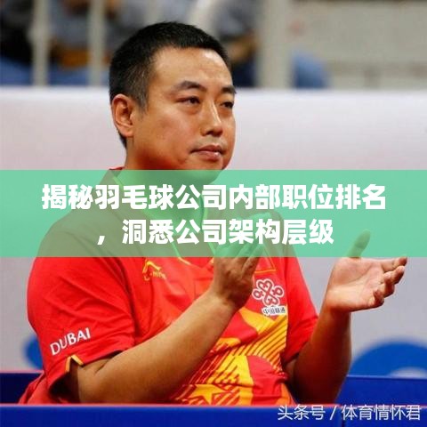 揭秘羽毛球公司内部职位排名，洞悉公司架构层级