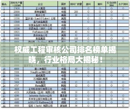 权威工程审核公司排名榜单揭晓，行业格局大揭秘！