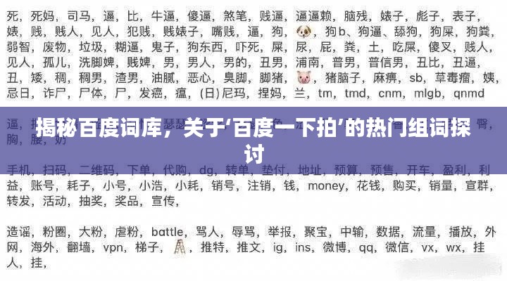 揭秘百度词库，关于‘百度一下拍’的热门组词探讨
