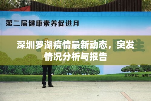 深圳罗湖疫情最新动态，突发情况分析与报告
