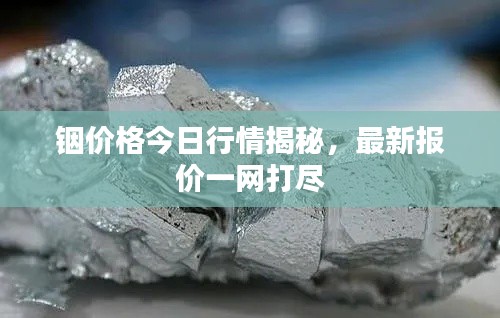 铟价格今日行情揭秘，最新报价一网打尽