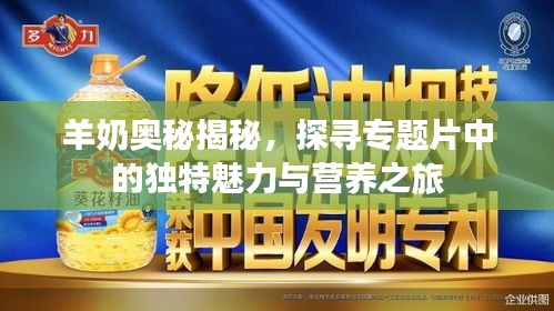 羊奶奥秘揭秘，探寻专题片中的独特魅力与营养之旅
