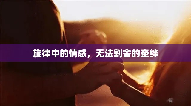 旋律中的情感，无法割舍的牵绊