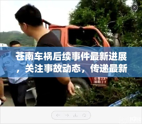 苍南车祸后续事件最新进展，关注事故动态，传递最新消息