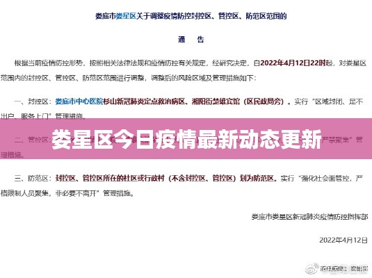 娄星区今日疫情最新动态更新