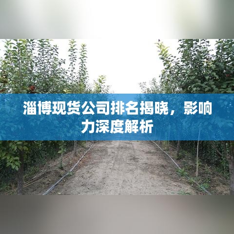 淄博现货公司排名揭晓，影响力深度解析