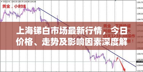 上海锑白市场最新行情，今日价格、走势及影响因素深度解析