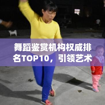 舞蹈鉴赏机构权威排名TOP10，引领艺术风尚的十大热门之选