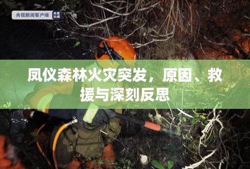 凤仪森林火灾突发，原因、救援与深刻反思