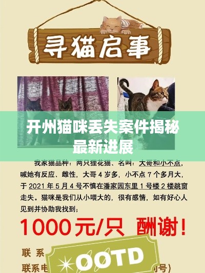 箪瓢陋巷
