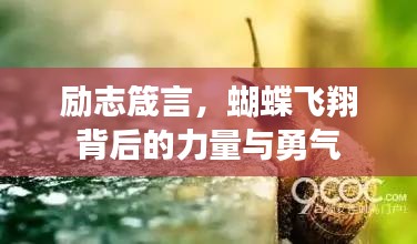 励志箴言，蝴蝶飞翔背后的力量与勇气