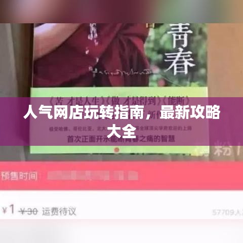 人气网店玩转指南，最新攻略大全