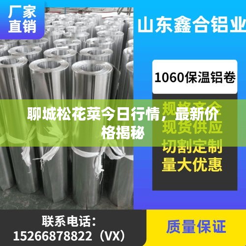 聊城松花菜今日行情，最新价格揭秘