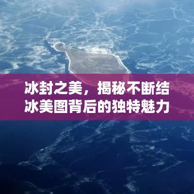 冰封之美，揭秘不断结冰美图背后的独特魅力