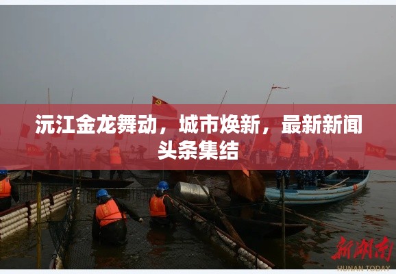 沅江金龙舞动，城市焕新，最新新闻头条集结