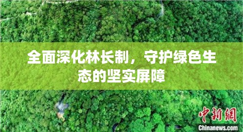 全面深化林长制，守护绿色生态的坚实屏障