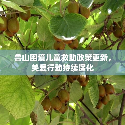 鲁山困境儿童救助政策更新，关爱行动持续深化
