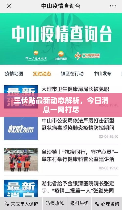 三伏贴最新动态解析，今日消息一网打尽