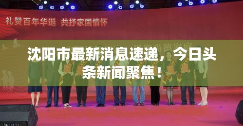 沈阳市最新消息速递，今日头条新闻聚焦！