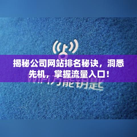 揭秘公司网站排名秘诀，洞悉先机，掌握流量入口！