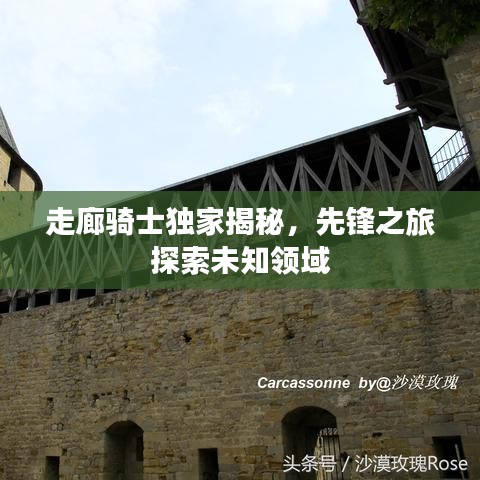 走廊骑士独家揭秘，先锋之旅探索未知领域