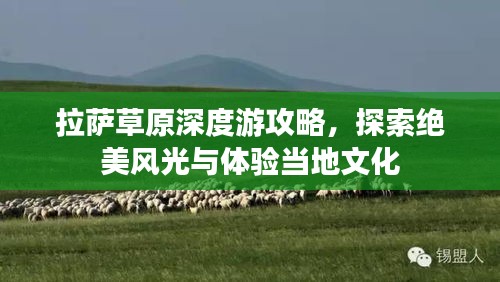 拉萨草原深度游攻略，探索绝美风光与体验当地文化