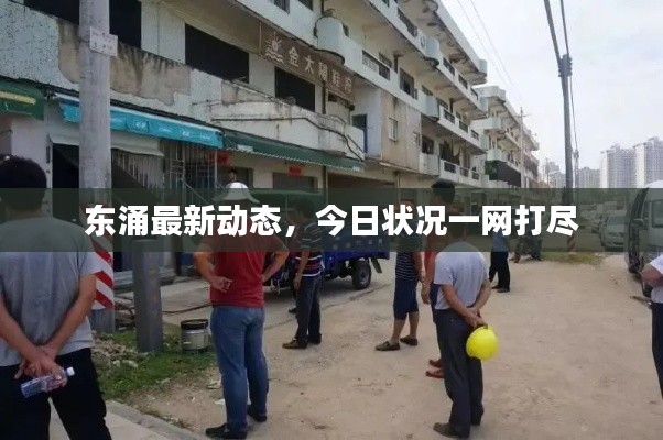 东涌最新动态，今日状况一网打尽