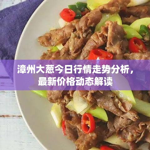 漳州大葱今日行情走势分析，最新价格动态解读