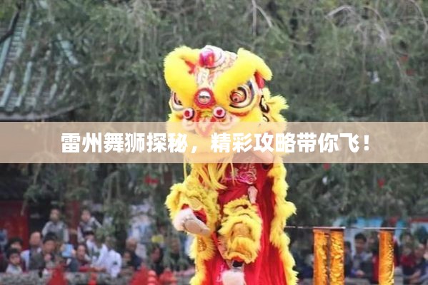 雷州舞狮探秘，精彩攻略带你飞！
