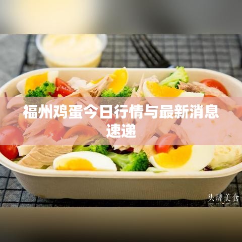 福州鸡蛋今日行情与最新消息速递