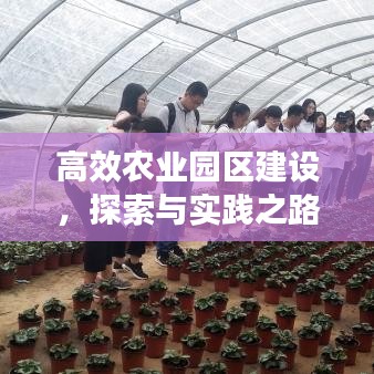 高效农业园区建设，探索与实践之路