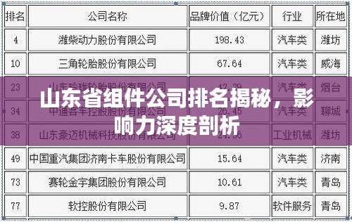 山东省组件公司排名揭秘，影响力深度剖析